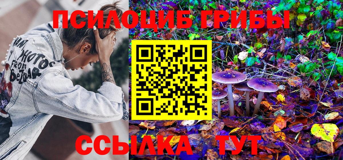 Семёнов  Галлюциногенные грибы Magic Shrooms  Псилоцибиновые грибы Cubensis  Вход с VPN 